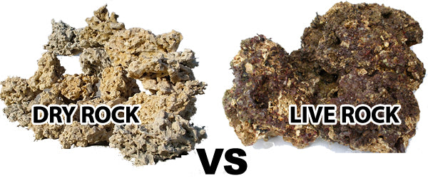 Dry Rock vs Live Rock