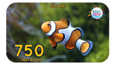 Easy Reef Bucks Gift Card