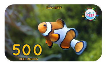 Easy Reef Bucks Gift Card