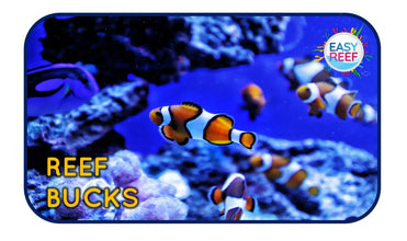 Easy Reef Bucks Gift Card